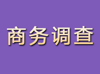 静宁商务调查